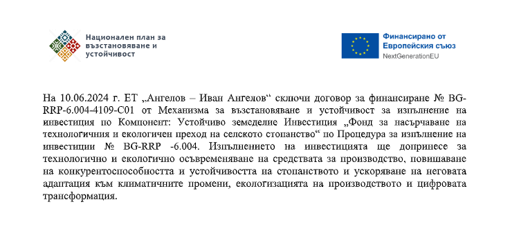 Ангелов - Яйца от свободно отглеждани кокошки